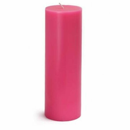 ZEST CANDLE CPZ-095-12 3 x 9 in. Hot Pink Pillar Candles, 12PK CPZ-095_12